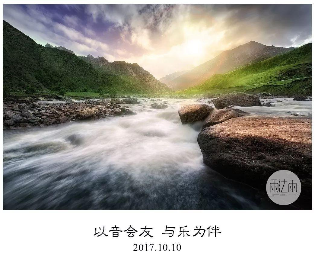 营救小猫头鹰